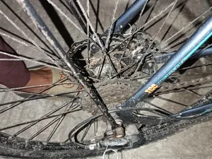 সাইকেল ফুল ফ্রেশ