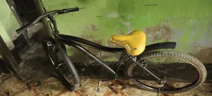 BMX Bicycle
