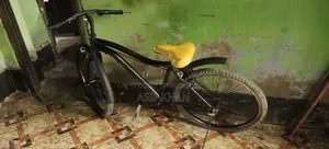BMX Bicycle