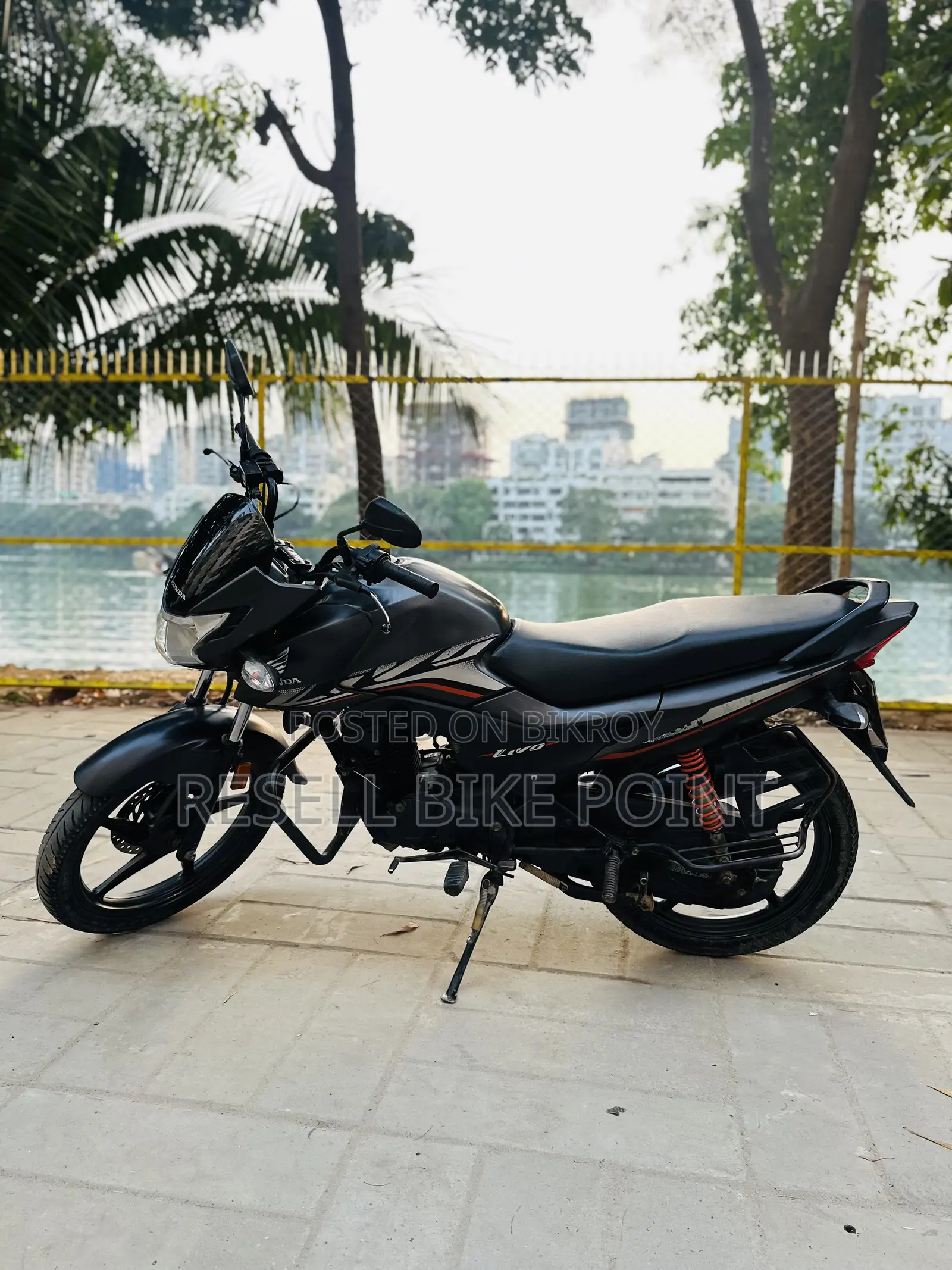 Honda Livo 2022 Gray