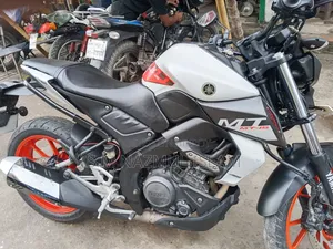 Yamaha MT-15 2022 Silver