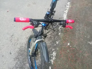 Best Cycle