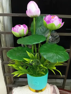 Premium Look Artificial Lotus Flower for Home and Office Decoration