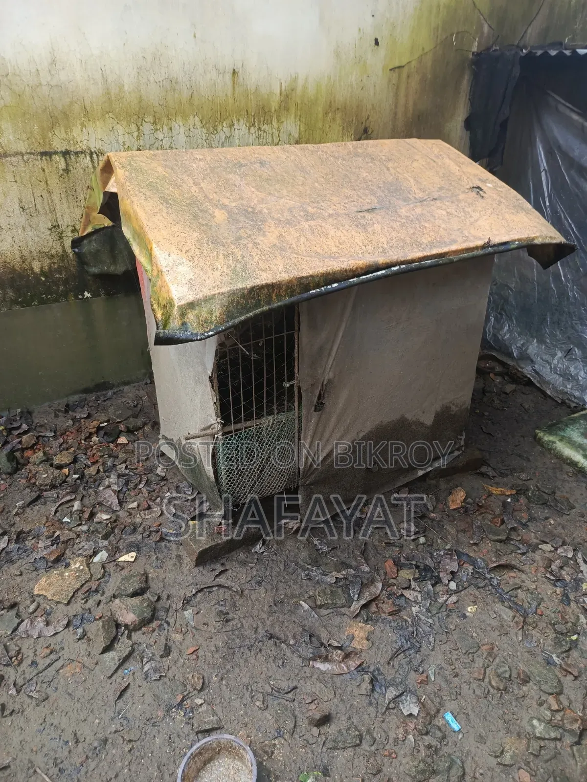 মোরগের ঘর খাঁচা