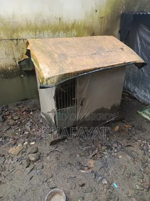 মোরগের ঘর খাঁচা