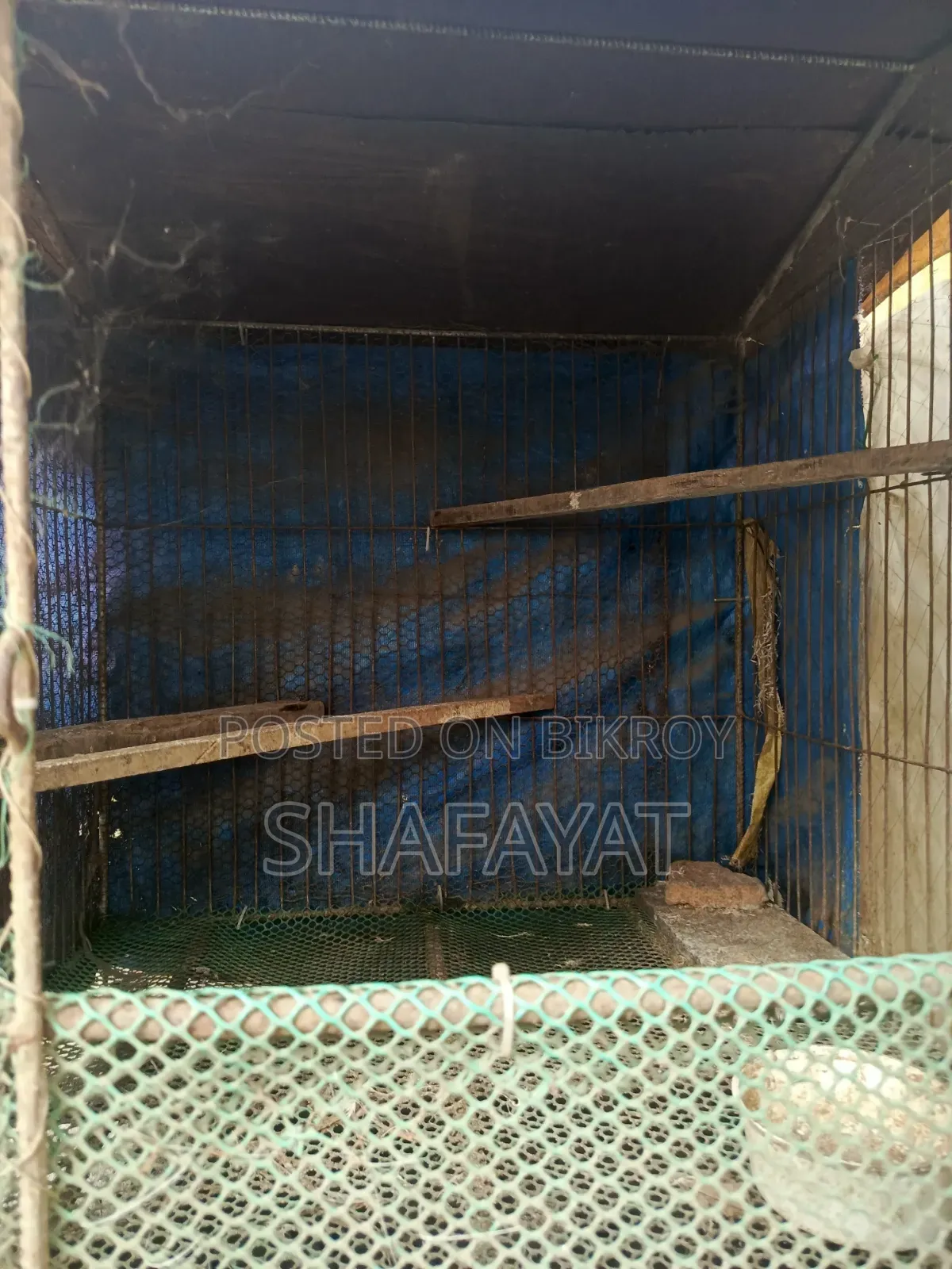 মোরগের ঘর খাঁচা