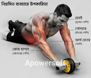 হোম জিম ফিটনেসের জন্য ডুয়াল হুইল এবি রোলার এক্সারসাইজ হুইল
