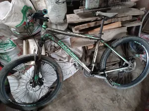 Phoenix Cycle Size 26