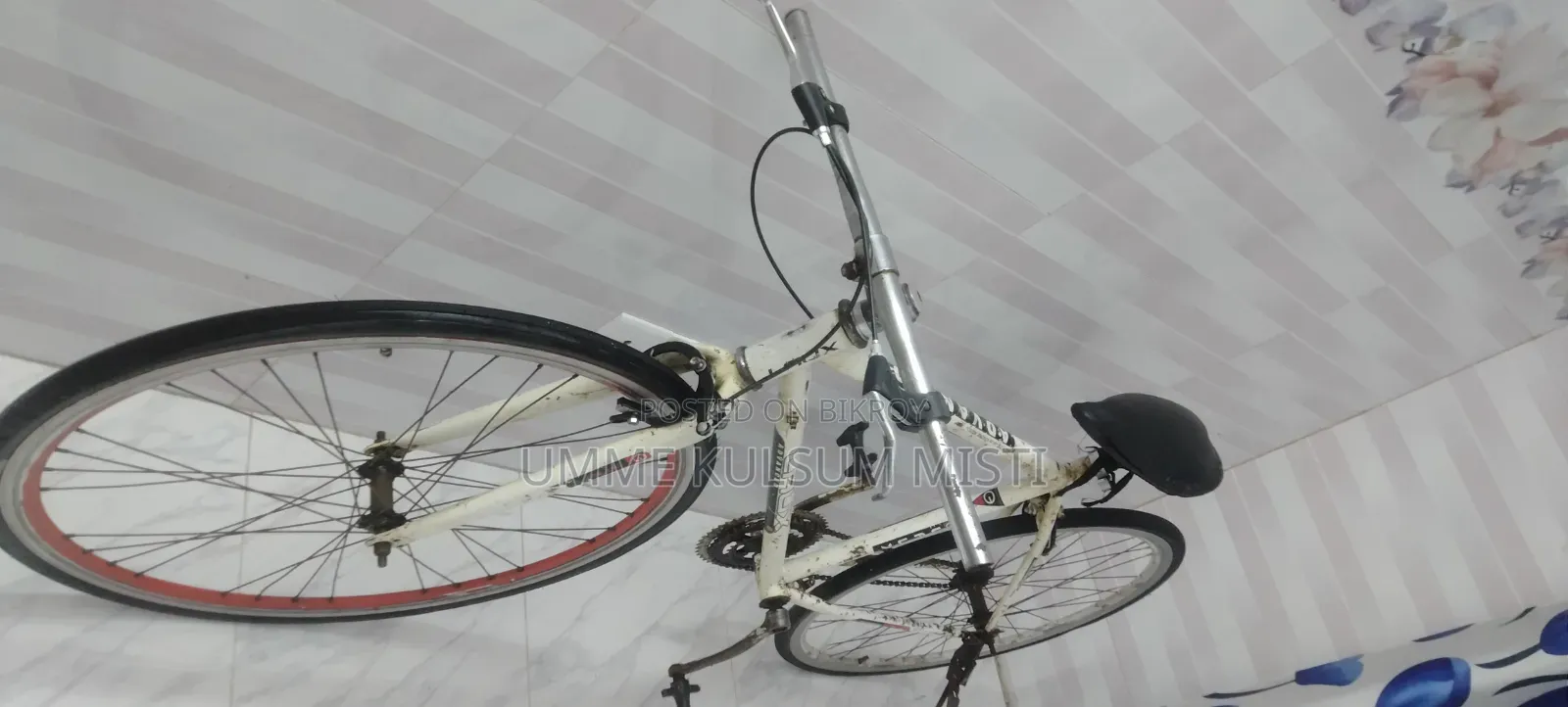 LAUX 400ZT Hybrid / Road Bicycle