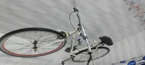 LAUX 400ZT Hybrid / Road Bicycle