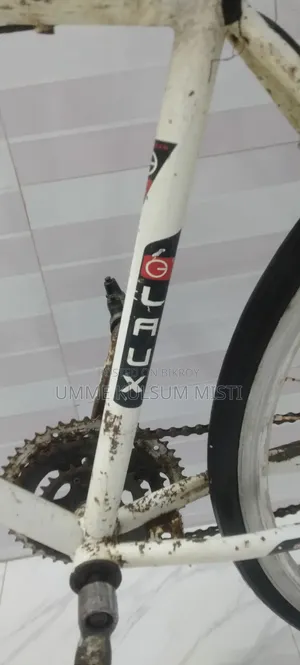 LAUX 400ZT Hybrid / Road Bicycle