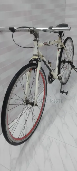 LAUX 400ZT Hybrid / Road Bicycle