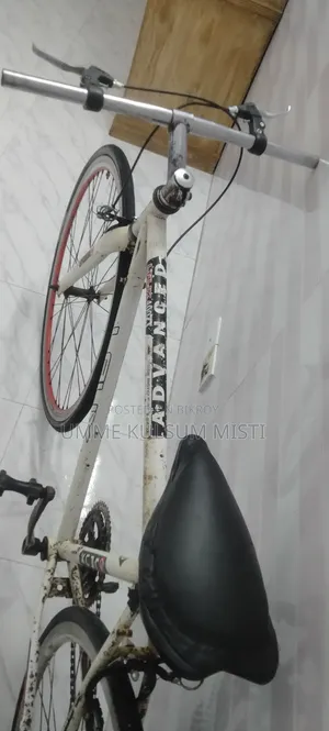 LAUX 400ZT Hybrid / Road Bicycle