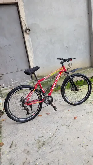উইনার সাইকেল