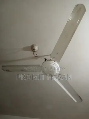 Fan (Used for only 4-5 months)