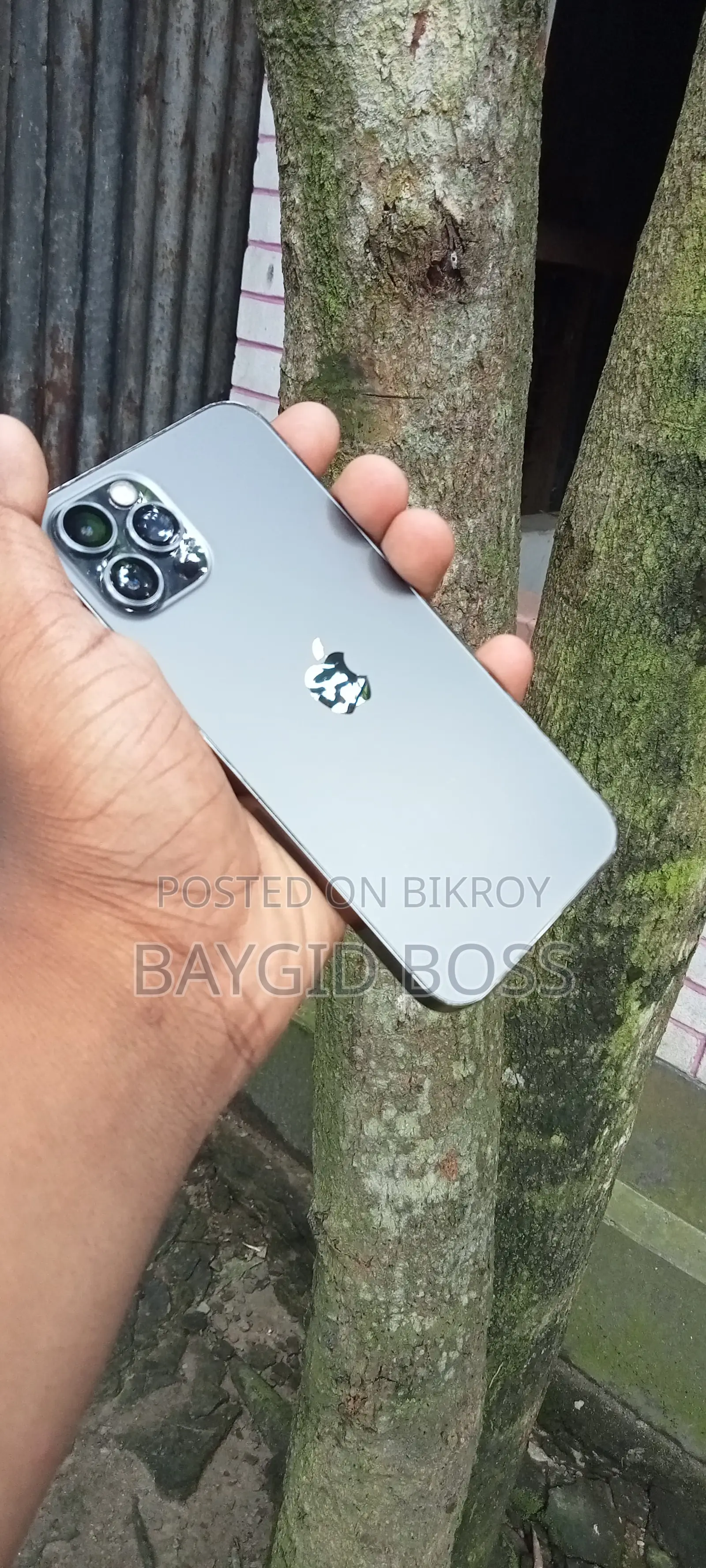 Apple iPhone 12 Pro 256 GB