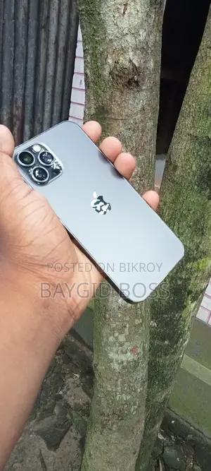 Apple iPhone 12 Pro 256 GB