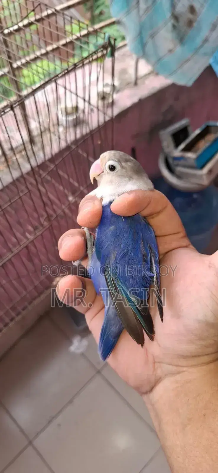 ইমার্জেন্সি সেল পোস্ট