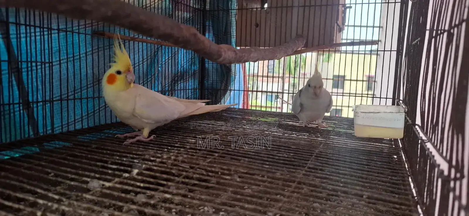 ইমার্জেন্সি সেল পোস্ট