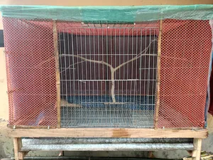 Large Pet Cage