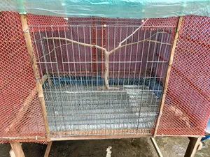 Large Pet Cage