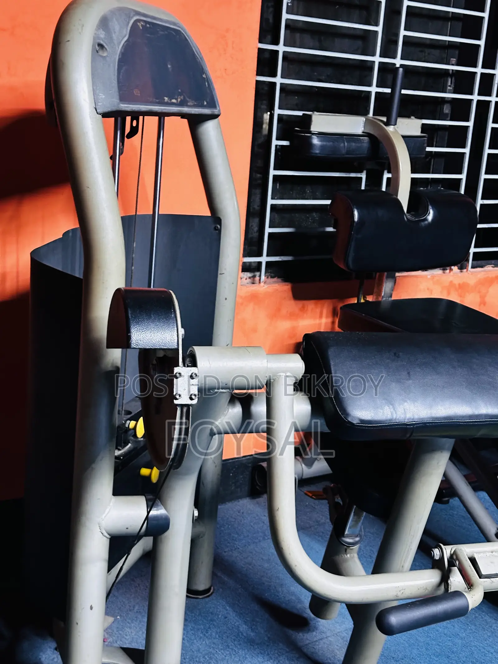 Gym Instrument