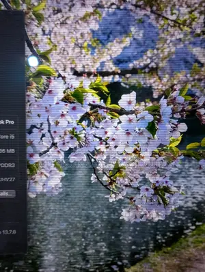 ল্যাপটপ অ্যাপল ম্যাকবুক প্রো ২০১৭ ৮জিবি ইন্টেল কোর আই৫ এসএসডি ১২৮জিবি