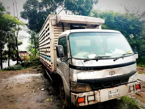Day-old chick delivery van.