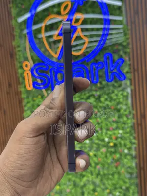 স্যামসাং গ্যালাক্সি এস২৪ ১২৮ জিবি নীল