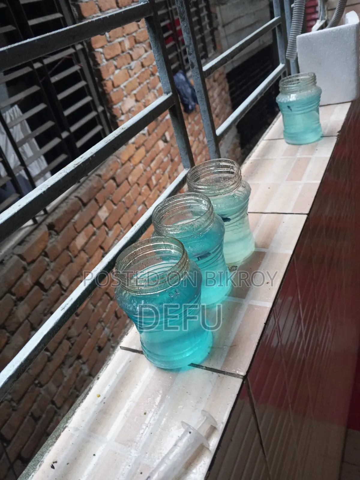ফ্যান্সি হাফমুন বেটা