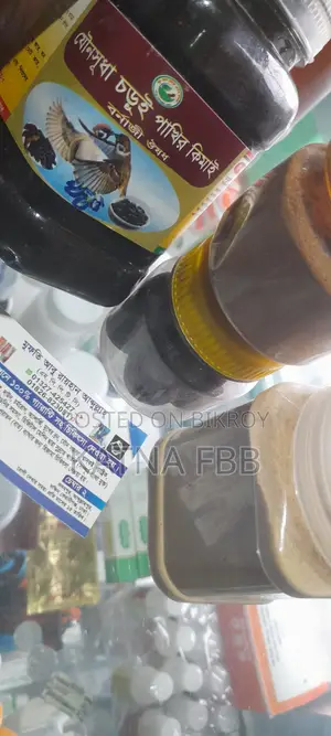 Piles Polypus Sexual Problems Gastric Menstrual Problems Medicine Treatment Service