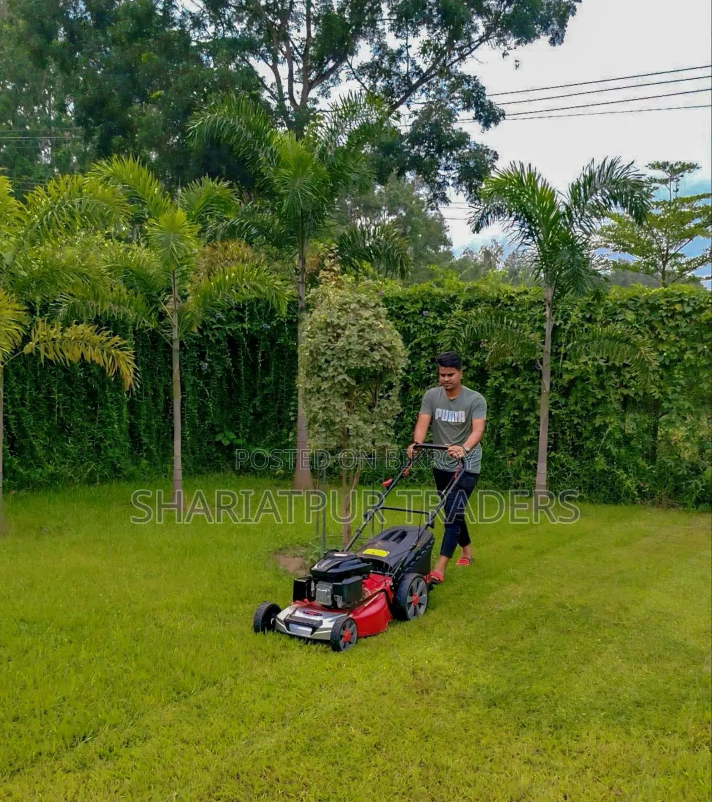 Petrol Lawn Mower