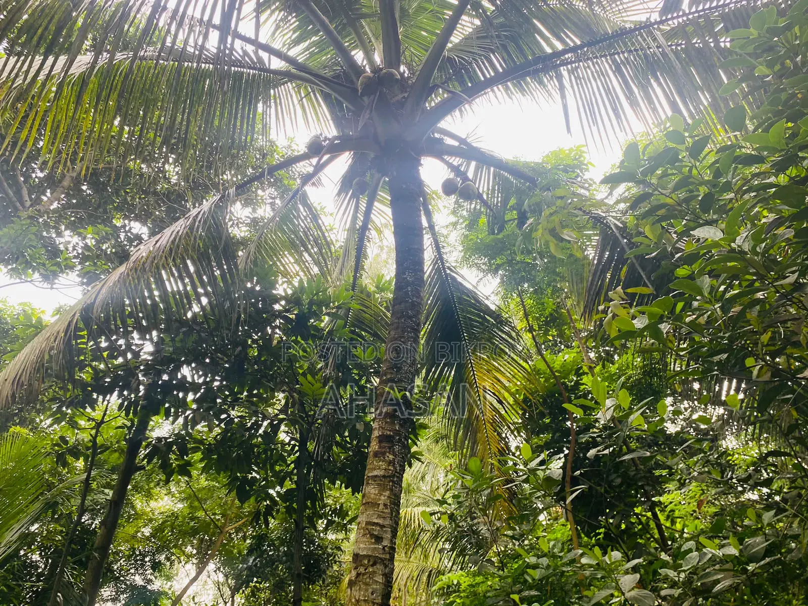 জরুরি ভিত্তিতে জমি বিক্রয়