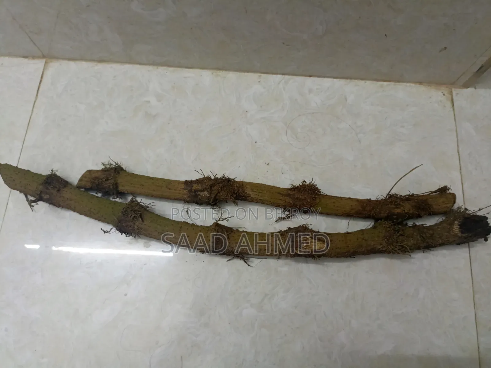 Chuijhal Spice