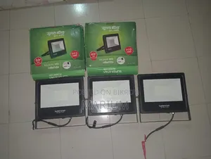 Flood Light