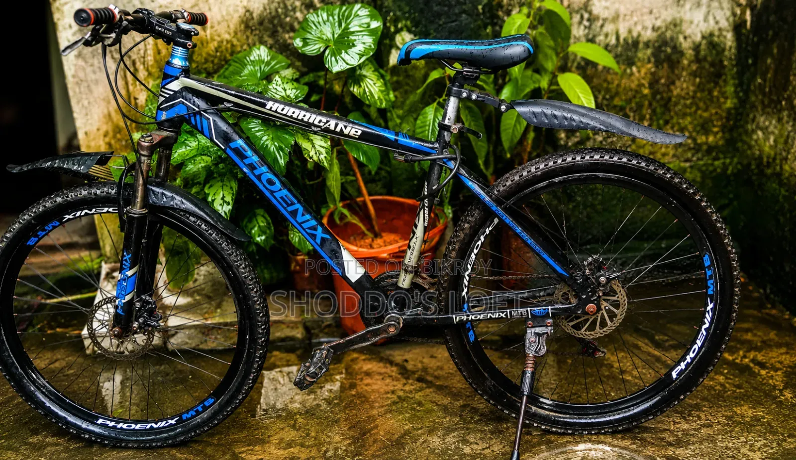 Cycle for Sale