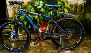 Cycle for Sale
