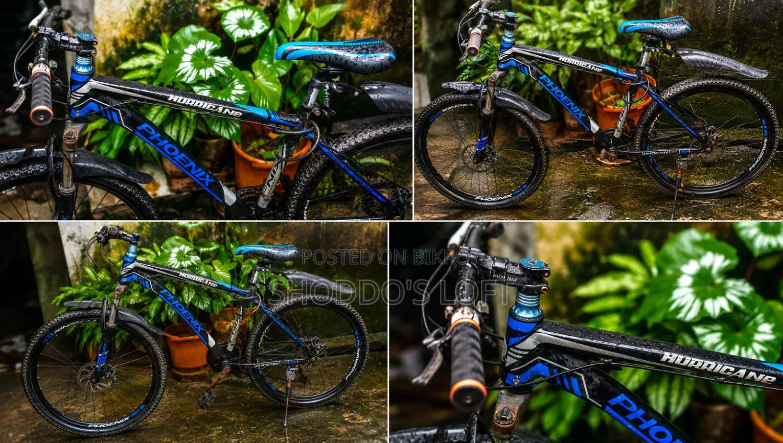 Cycle for Sale