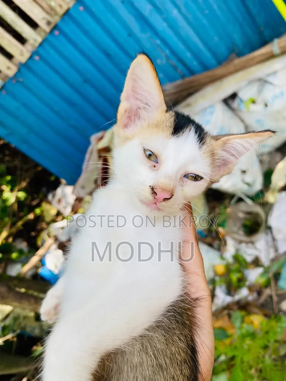 অ্যাপল আইফোন ১১ প্রো ম্যাক্স ৬৪ জিবি গ্রে