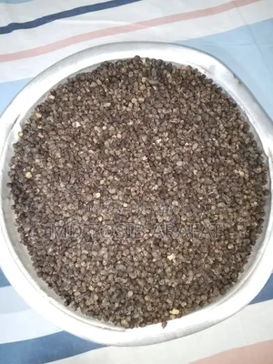 Black Plum Seed Powder
