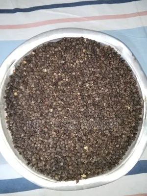 Black Plum Seed Powder