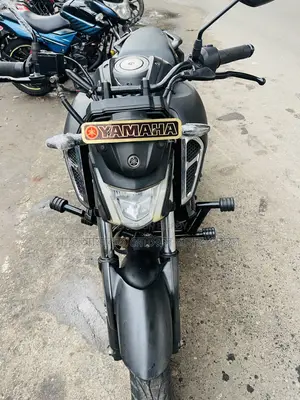 Yamaha FZS V4 2024 Gray