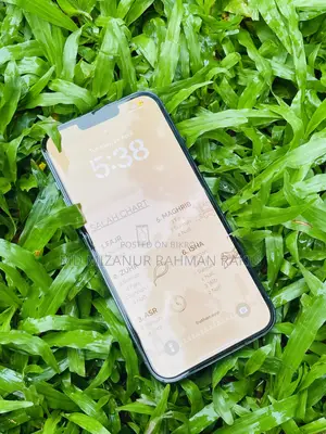 অ্যাপল আইফোন ১৩ প্রো ম্যাক্স ২৫৬ জিবি নীল