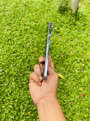 অ্যাপল আইফোন ১৩ প্রো ম্যাক্স ২৫৬ জিবি নীল