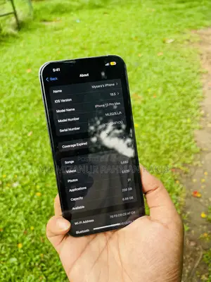 অ্যাপল আইফোন ১৩ প্রো ম্যাক্স ২৫৬ জিবি নীল