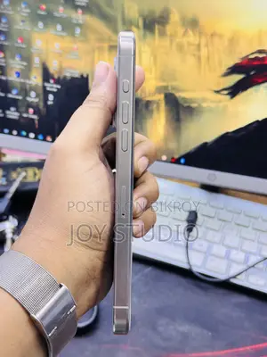 অ্যাপল আইফোন ১৫ প্রো ম্যাক্স ২৫৬ জিবি সিলভার