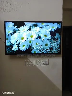 Original VIGO 32 Inch will be sold urgently