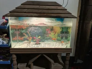 ফিশ অ্যাকোয়ারিয়াম