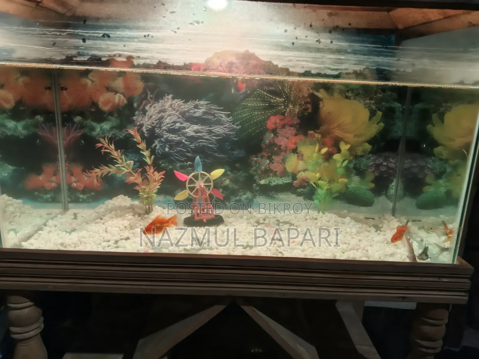 ফিশ অ্যাকোয়ারিয়াম