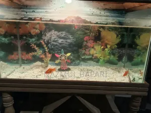 ফিশ অ্যাকোয়ারিয়াম